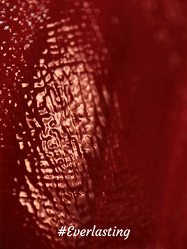 SHEGLAM Ember Rose Immortal Love Nourishing Lip Gloss