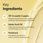 Torriden Solid-In Cream – 5D Ceramide Deep Hydration Moisturizer