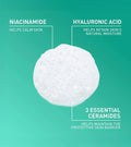CeraVe Foaming Facial Cleanser 236 ml