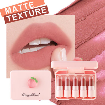 Dragon Ranee 5 Colors Peach Mini Lipstick Set – Long Lasting Waterproof Matte Velvet Nude Lipsticks for Women