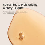Beauty of Joseon Ginseng Essence Water Hydrating Face Toner for Dry, Dull Skin. Korean Moisturizing Skin Care for Men and Women 150ml, 5.07 fl.oz.